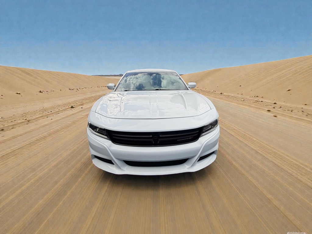2016 Dodge Charger SXT's photo